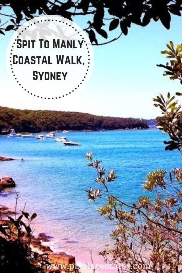 Spit to Manly Scenic Coastal Walk | Travel Photography