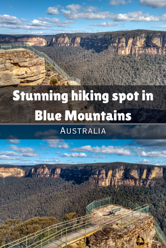 pulpit rock lookout hiking track