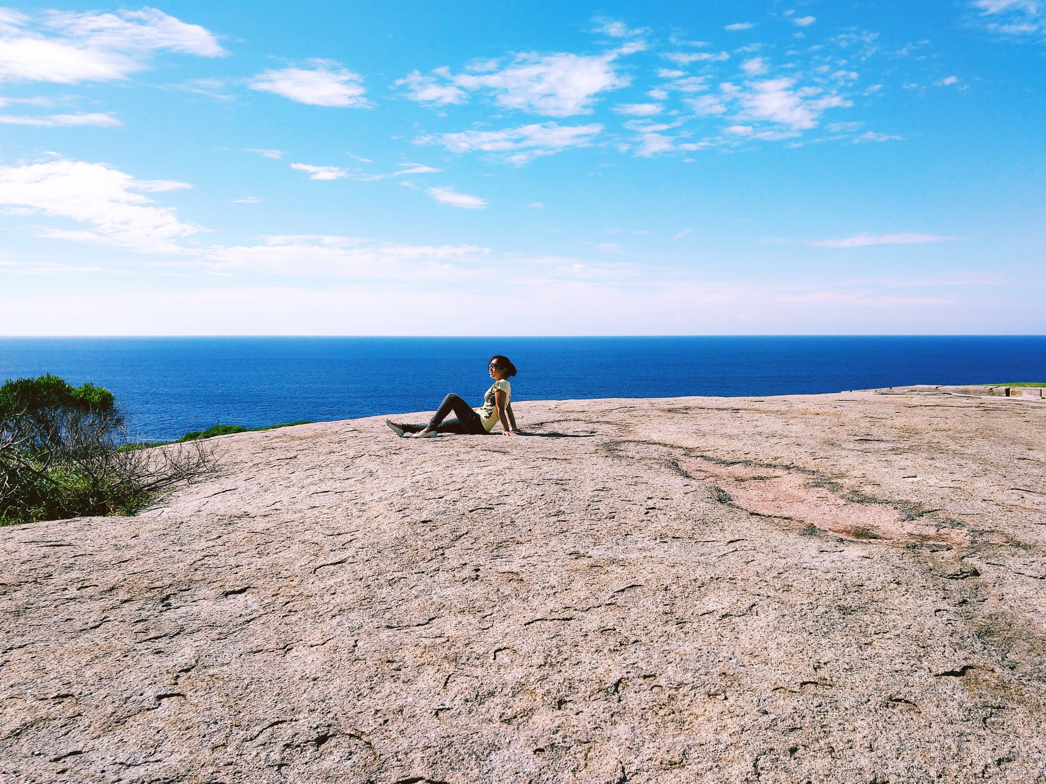 Montague island narooma australia