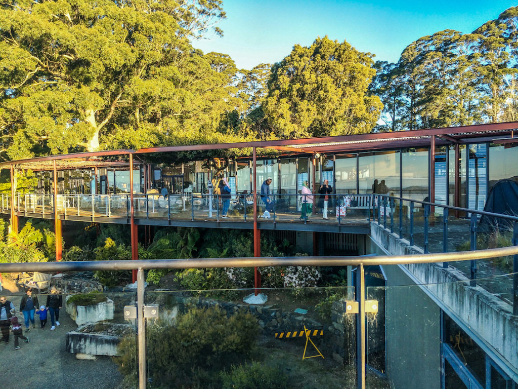 blue mountains botanic garden cafe sydney
