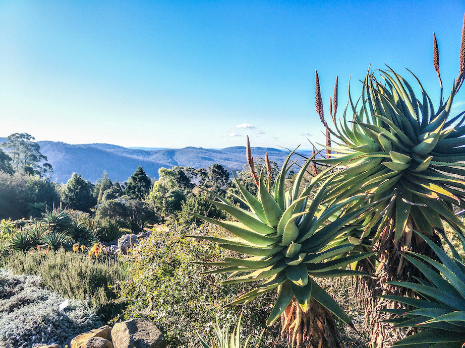 Blue Mountains Botanic Garden Australia