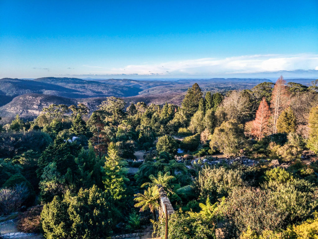 Blue Mountains Botanic Garden Mount Tomah
