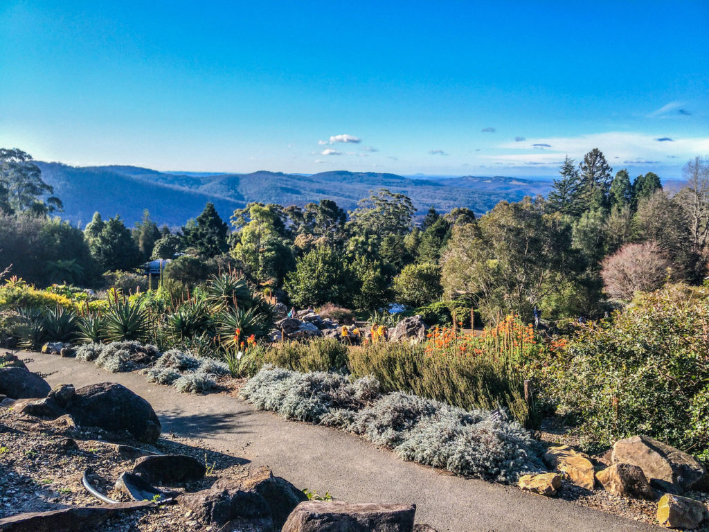 Blue Mountains Botanic Garden Scenic View