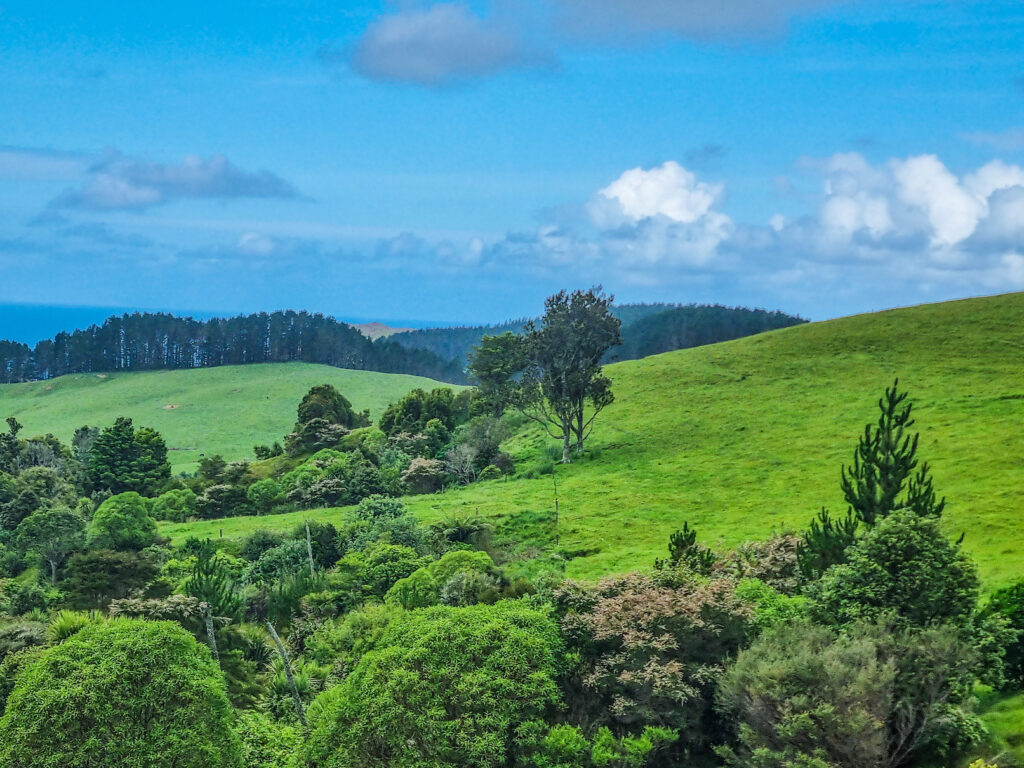 8 day road trip North Island New Zealand