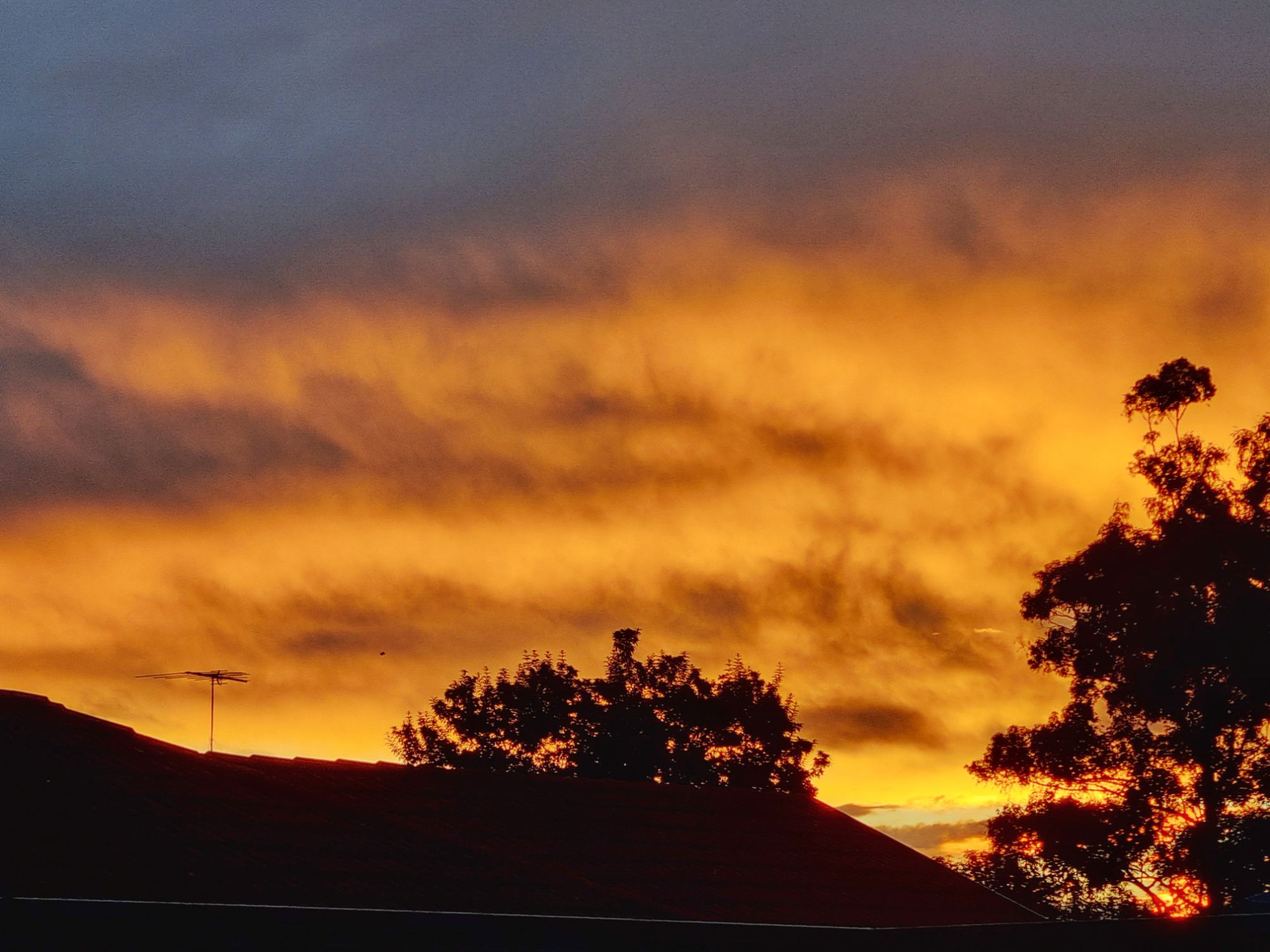 Beautiful Sunset in Sydney Australia | Travel Photography