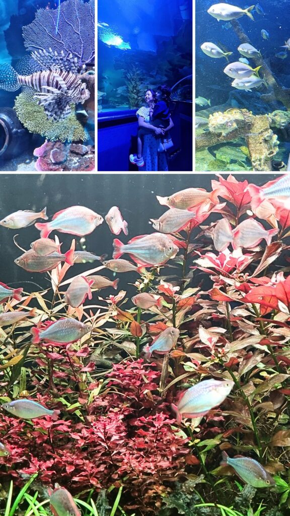 Aquaria KLCC Kuala Lumpur Malaysia