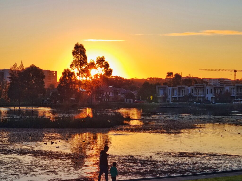 beautiful sunset in sydney
