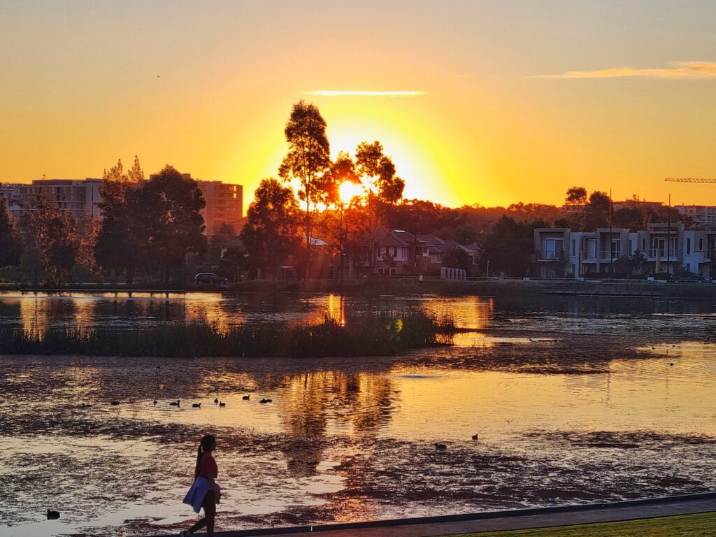 pretty sunset in sydney