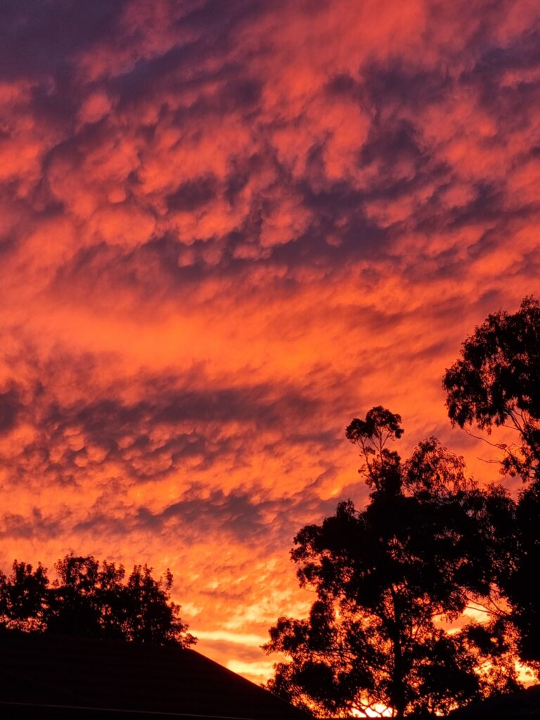 orange sunset in sydney