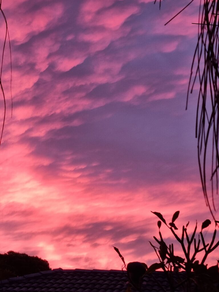 pink and purple sunset in sydney
