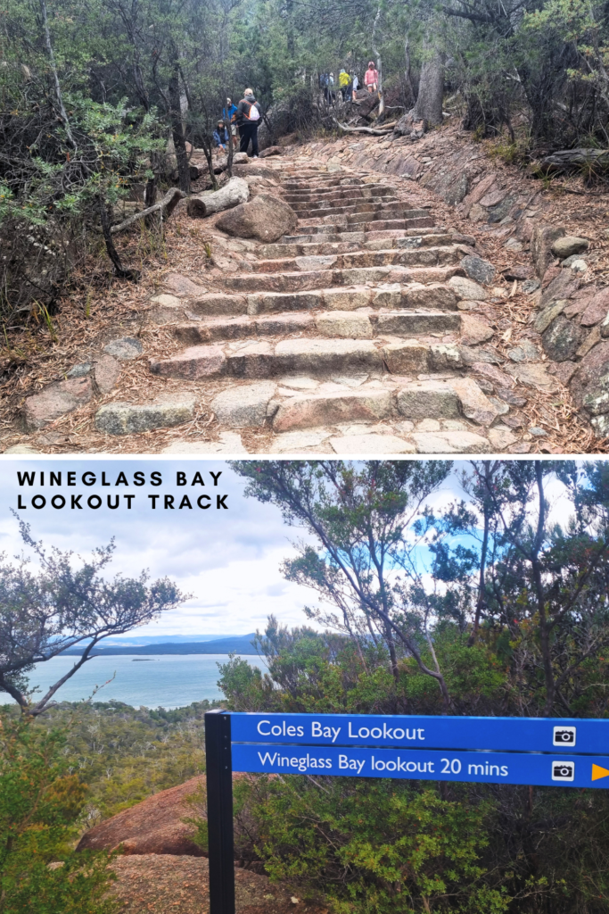 wineglass bay lookout Tasmania walking track